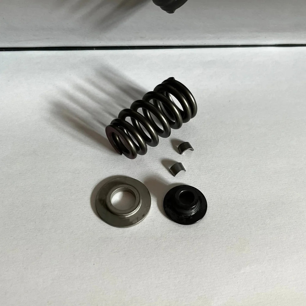 Exhaust Valve Spring Kit for KTM 450/500 & Husqvarna 450/501 2020-2026 - 79536028010