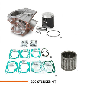 300 Cylinder Kit + Gasket + Needle Bearing 2024–2026 kit