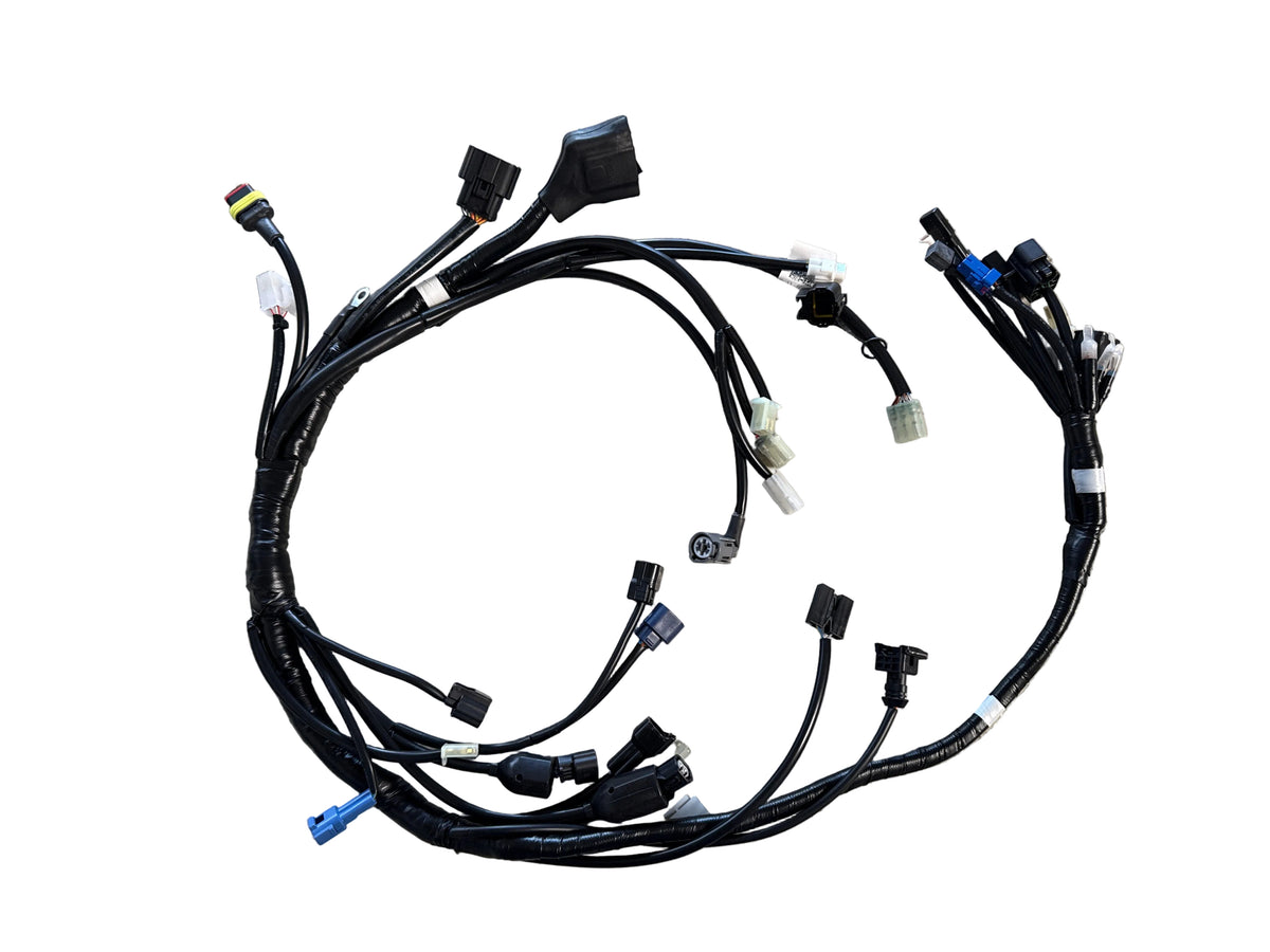 Main wiring harness A49011075000
