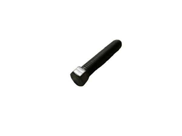 HH screw M8X40           WS=10 50203030090