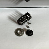 VALVE SPRING KIT EXHAUST