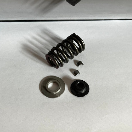 VALVE SPRINGS KIT 450