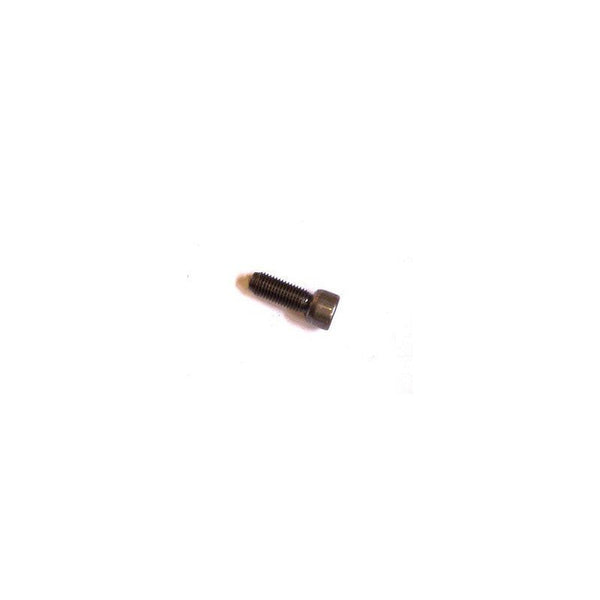 Adjustment Screw M6x0.75 for KTM EXC/SX & Husqvarna FE 2000-2008 - 59036062000