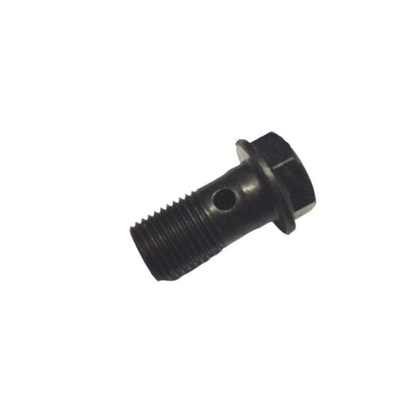 HOLLOW SCREW M10X1X19